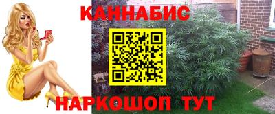 мяу мяу мука Новозыбков